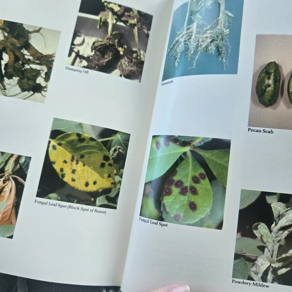 Neil Sperry's Complete Guide To Texas Gardening, hardcover - Picture 16 of 16